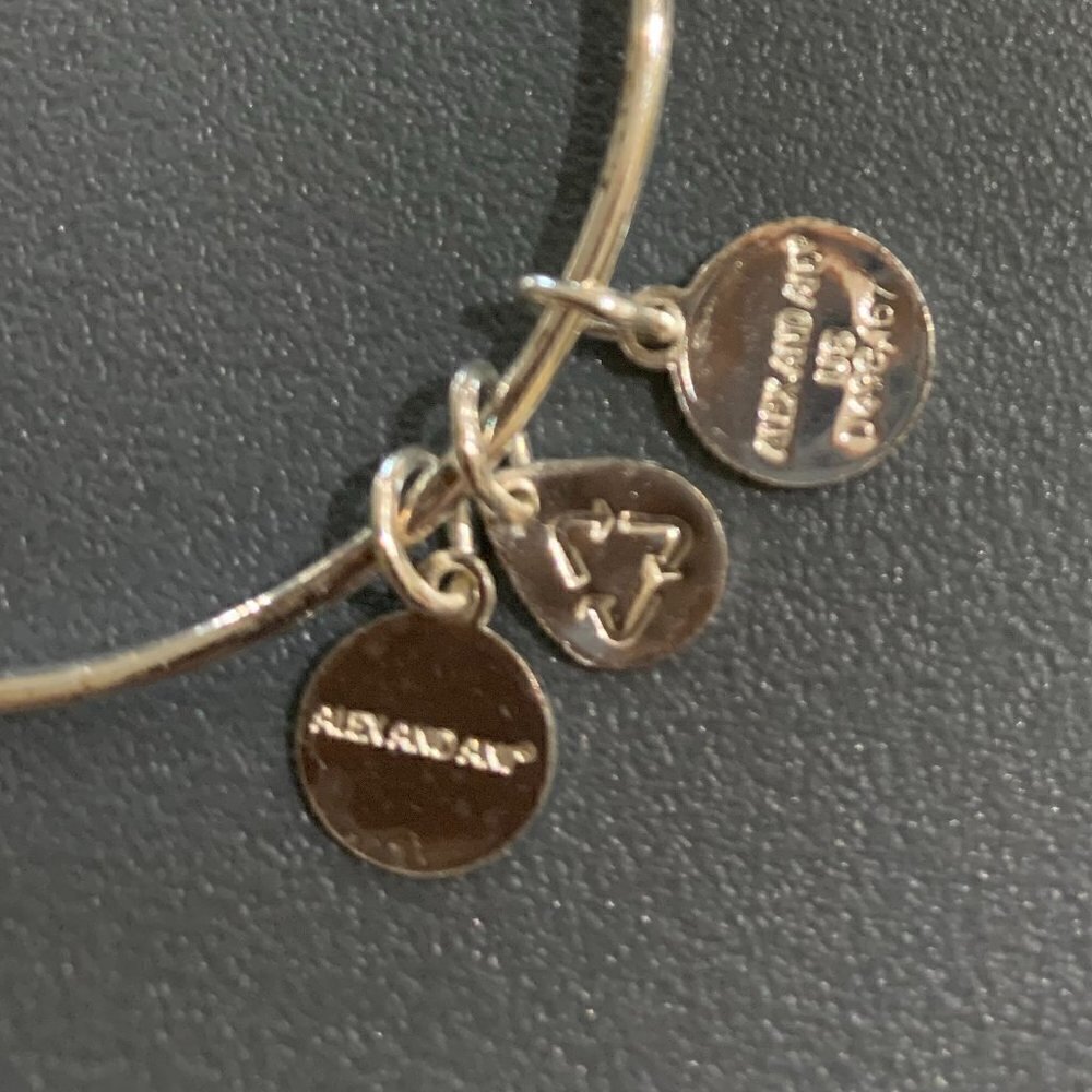 Disney Alex And Ani Bracelet - Ariel Follow Your Dreams - Silver - Picture 4 of 5